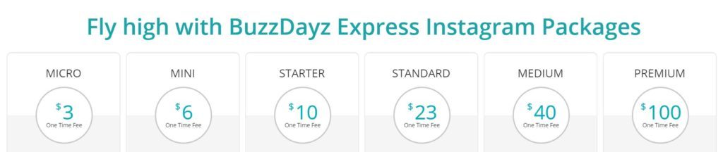 buzzdayz pricing packages